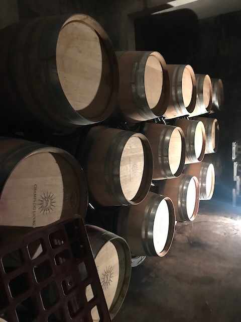 Barrel room at the winery