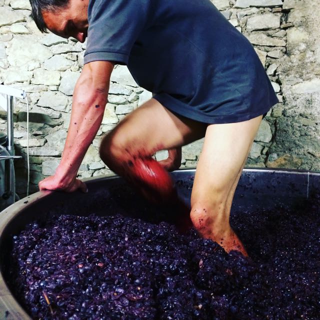 Artisanal wine production